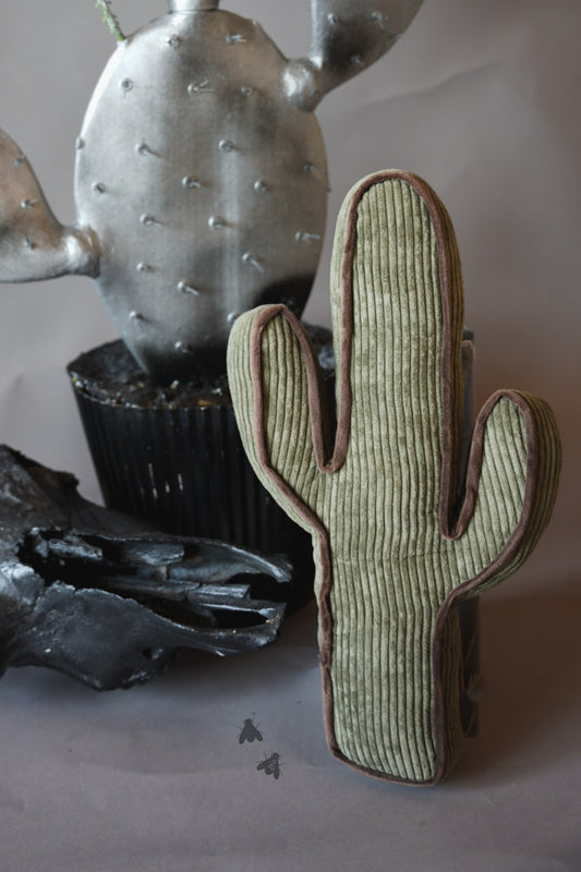 Kick a Cactus Pillow-Agave